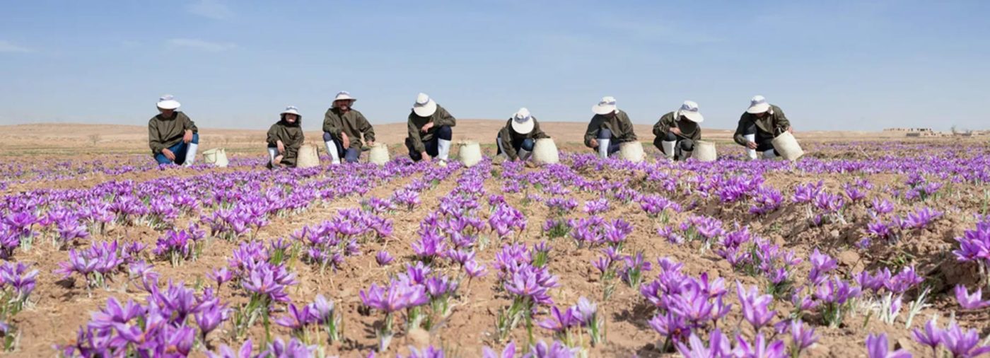 خرید زعفران و خشکبار درجه یک