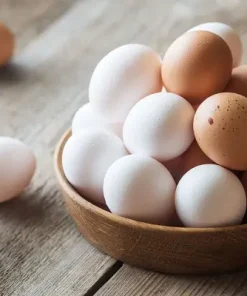 محصولات طیور