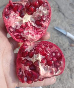 رب انار درجه یک صادراتی