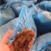 پودر گوشت پروتئین بالای 60%کارخانه ی