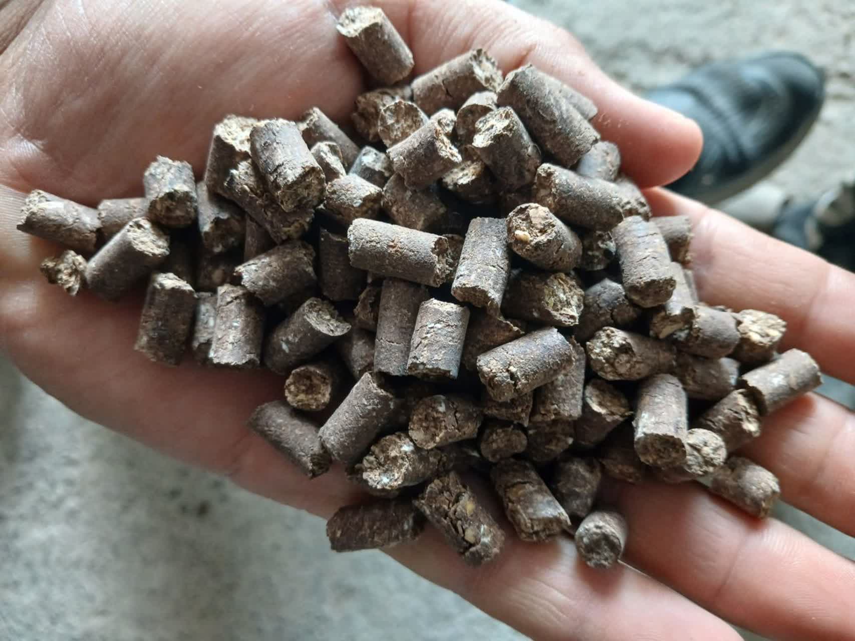 ذرت سویا جو سبوس گندم ملاس چغندر